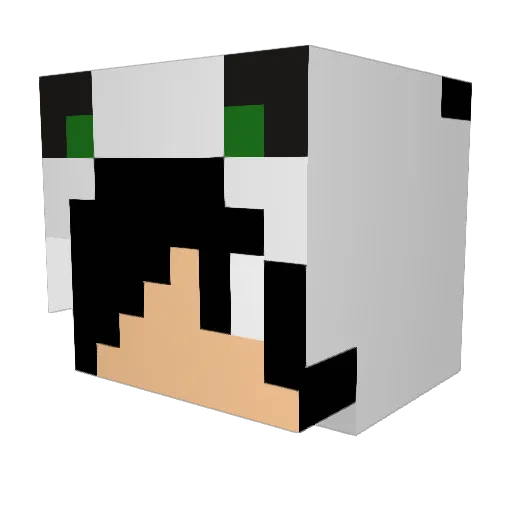 MrDevCake Minecraft avatar head, 3D render