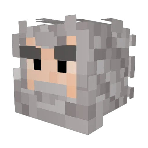 MrDisneyMeow Minecraft avatar head, 3D render