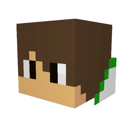 MrDjCat Minecraft avatar head, 3D render
