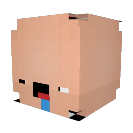 MrDjPanda Minecraft avatar head, 3D render