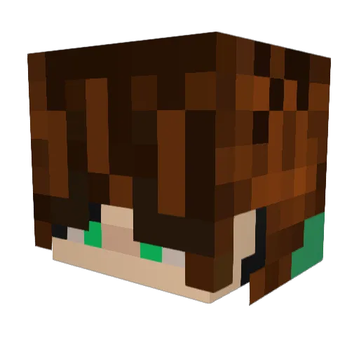 MrDogWater69 Minecraft avatar head, 3D render