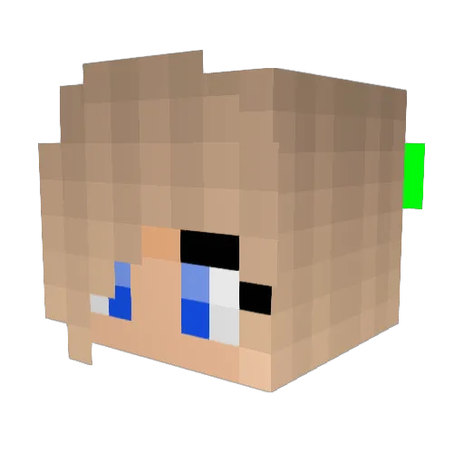 MrDogWater Minecraft avatar head, 3D render