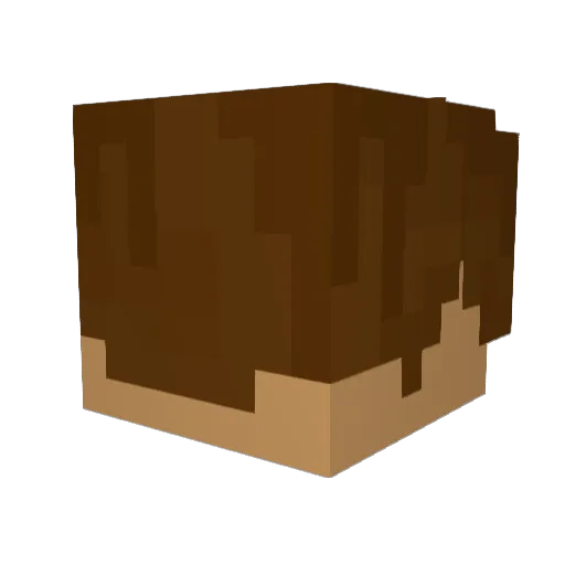 MrDoleful Minecraft avatar head, 3D render