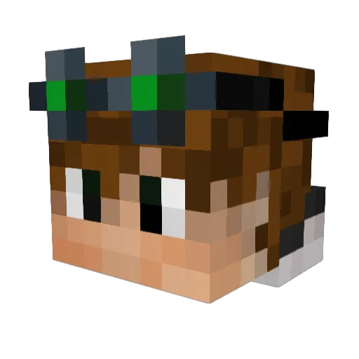 MrDrProfWumbo Minecraft avatar head, 3D render
