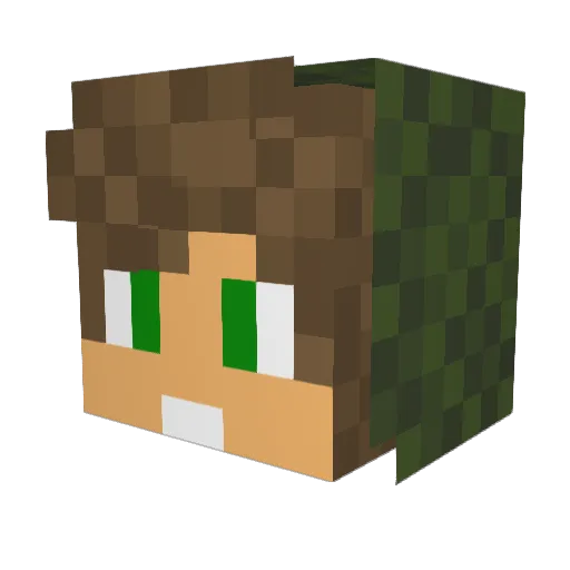 MrDragon2018 Minecraft avatar head, 3D render