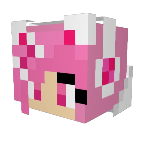 MrDuck03 Minecraft avatar head, 3D render