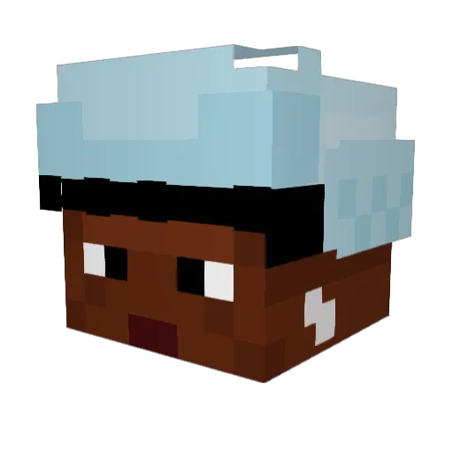 MrDuck17 Minecraft avatar head, 3D render