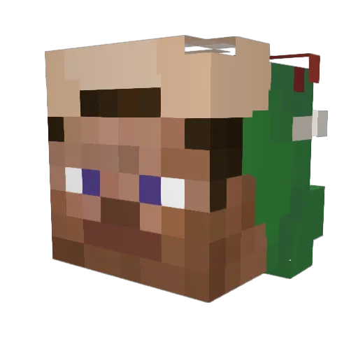 MrDuckJr Minecraft avatar head, 3D render