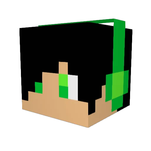 MrDuckSpace Minecraft avatar head, 3D render