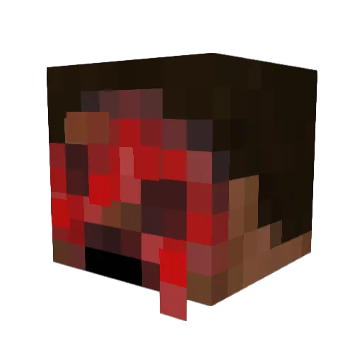 MrDuckType Minecraft avatar head, 3D render