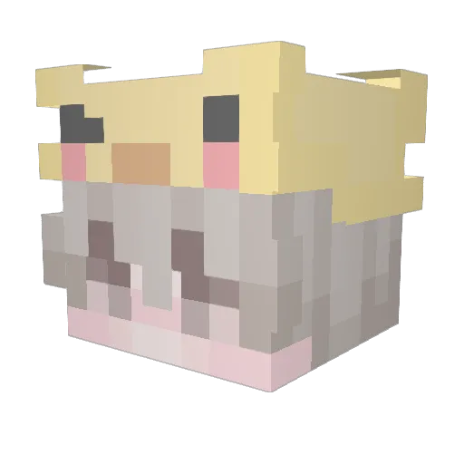 MrDuckinggg Minecraft avatar head, 3D render