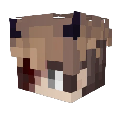 MrDux873 Minecraft avatar head, 3D render