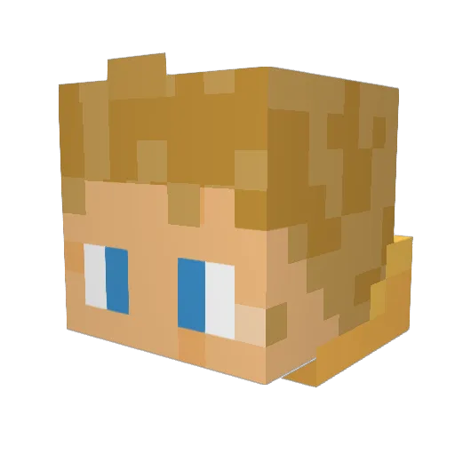 MrEendje Minecraft avatar head, 3D render