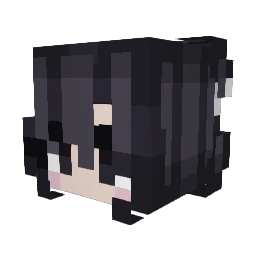 MrEkvall1 Minecraft avatar head, 3D render