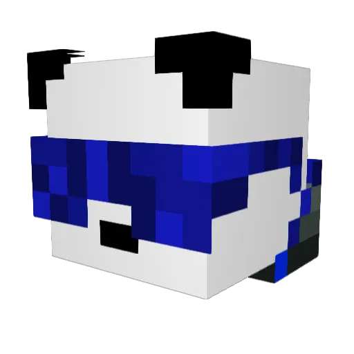 MrEnErGiZ3 Minecraft avatar head, 3D render