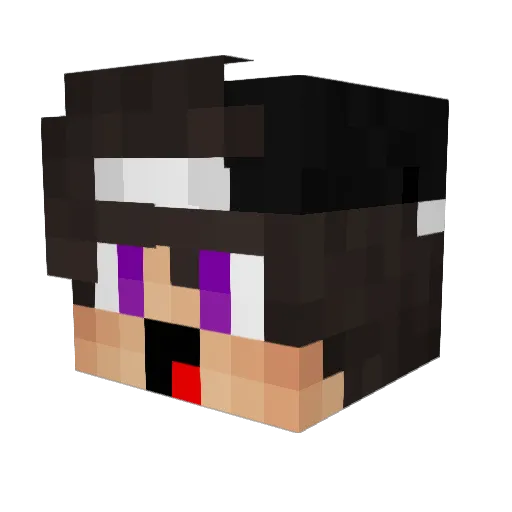 MrEnder1258 Minecraft avatar head, 3D render