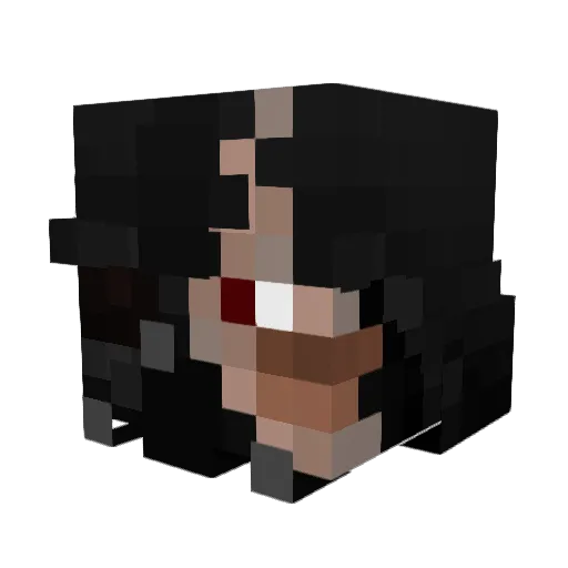 MrEndercat Minecraft avatar head, 3D render
