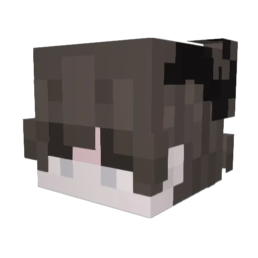 MrErick14 Minecraft avatar head, 3D render