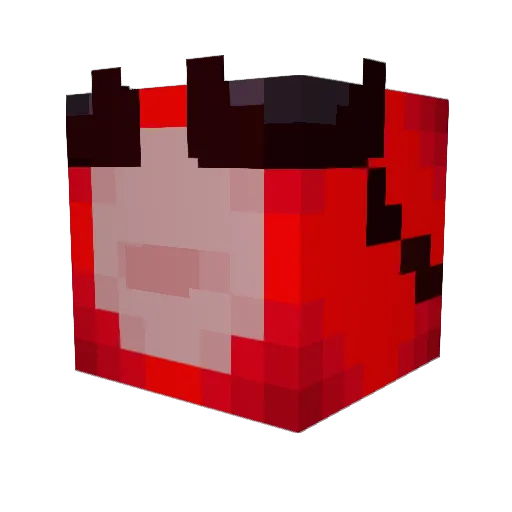 MrEvanOK Minecraft avatar head, 3D render
