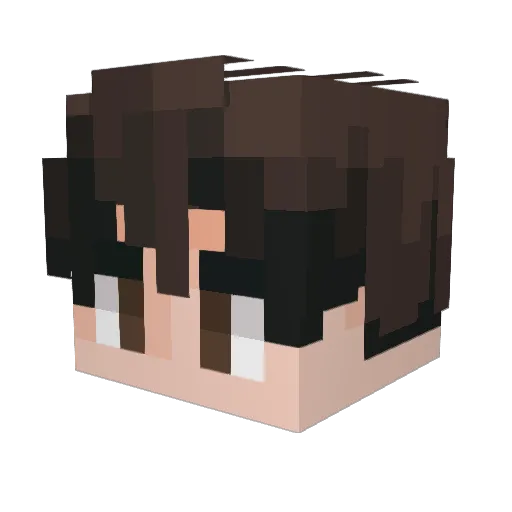 MrFansome Minecraft avatar head, 3D render
