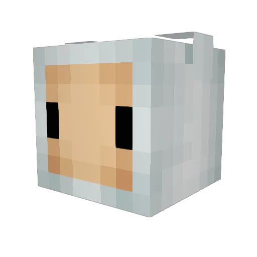 MrFate_ Minecraft avatar head, 3D render