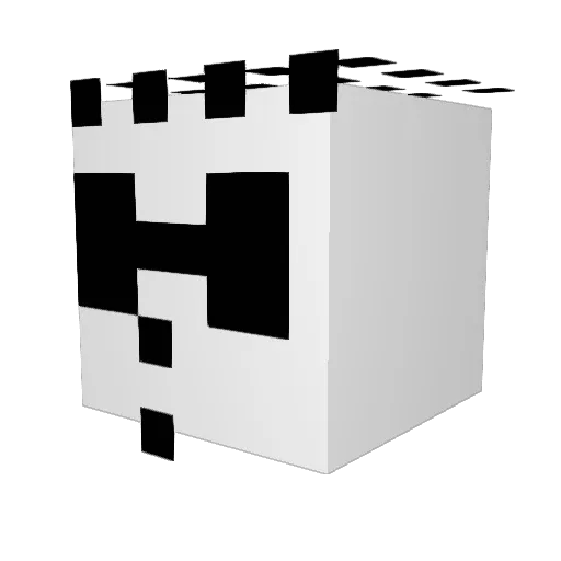 MrFidelDidel Minecraft avatar head, 3D render