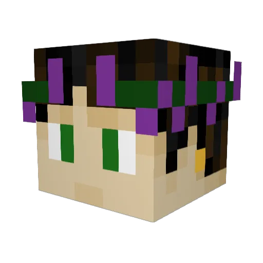 MrFister422 Minecraft avatar head, 3D render