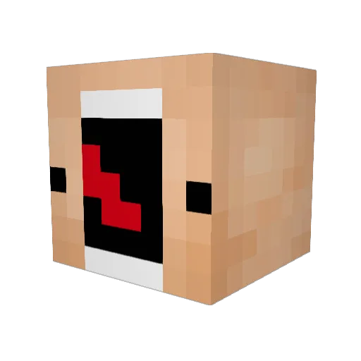 MrFleygames Minecraft avatar head, 3D render