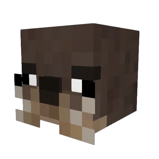 MrFlibble5 Minecraft avatar head, 3D render
