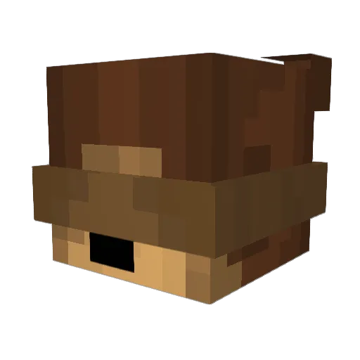 MrFlixBus Minecraft avatar head, 3D render