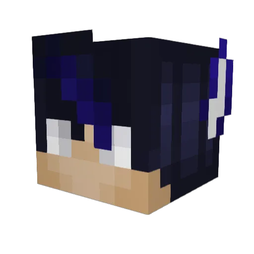MrForgetable666 Minecraft avatar head, 3D render