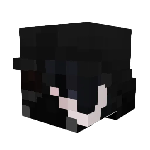 MrForrest00 Minecraft avatar head, 3D render