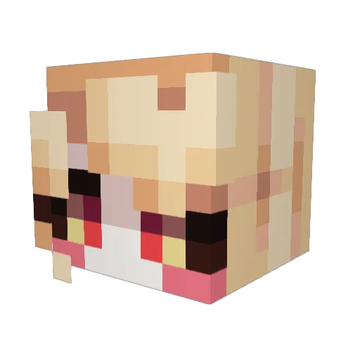 MrFounderz Minecraft avatar head, 3D render