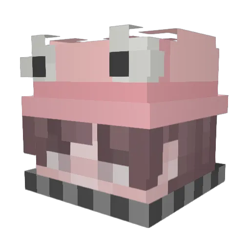 MrFr0ggers Minecraft avatar head, 3D render