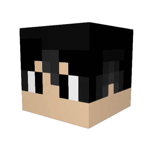 MrFrostbite9 Minecraft avatar head, 3D render