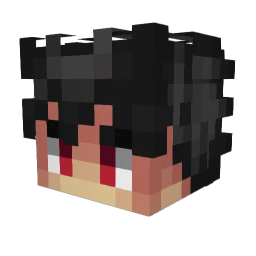 MrFurious69 Minecraft avatar head, 3D render