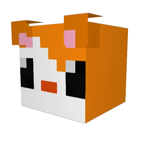 MrFuzzfuz Minecraft avatar head, 3D render