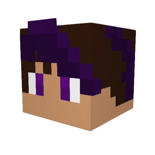 MrGamer915 Minecraft avatar head, 3D render