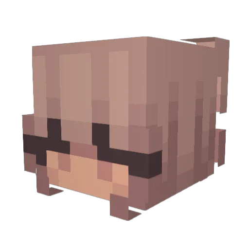 MrGerry_ Minecraft avatar head, 3D render