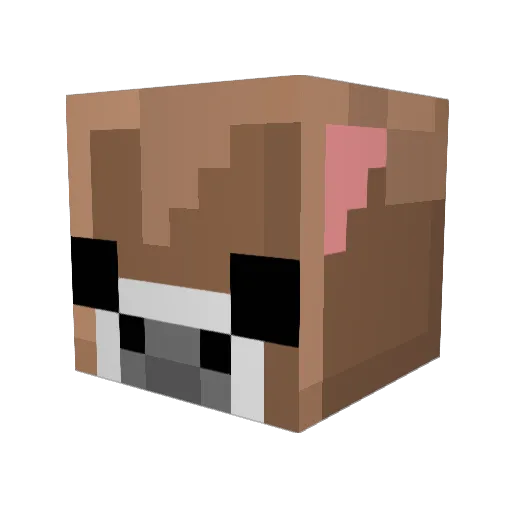 MrGus589 Minecraft avatar head, 3D render