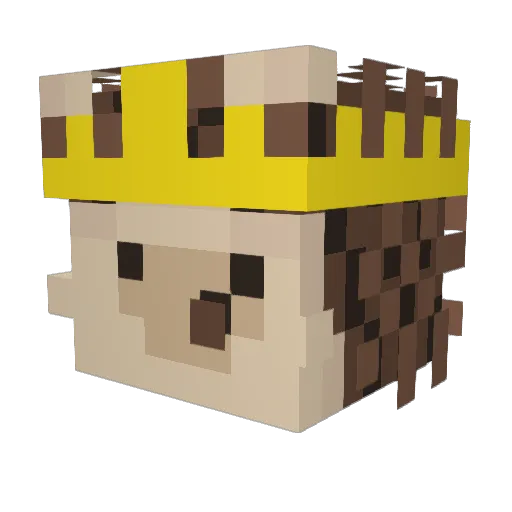 MrHedgehog22 Minecraft avatar head, 3D render