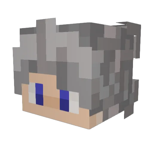 MrHgekillplayuio Minecraft avatar head, 3D render