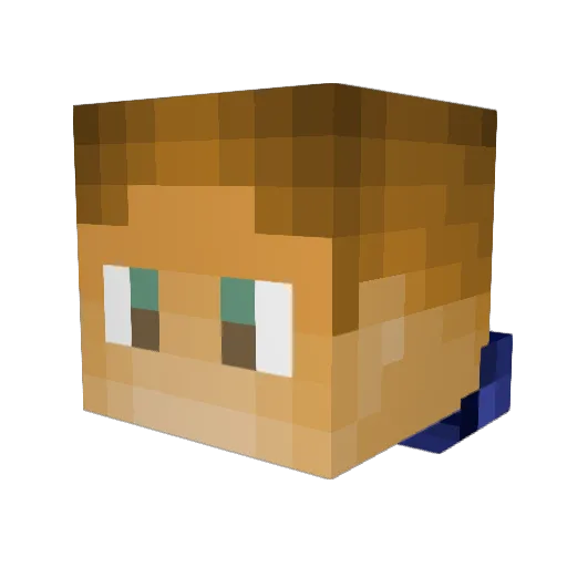 MrHmmm8426 Minecraft avatar head, 3D render