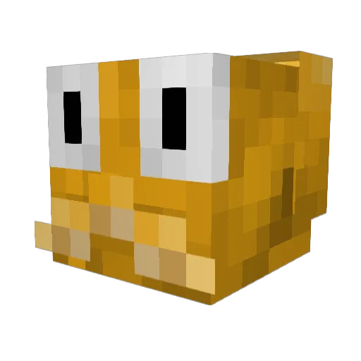 MrHunter44 Minecraft avatar head, 3D render