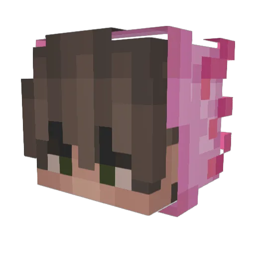 MrIhazcupquake Minecraft avatar head, 3D render