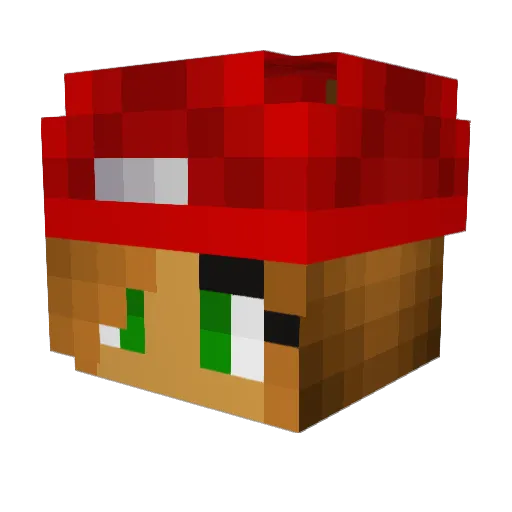 MrIslandbreeze Minecraft avatar head, 3D render
