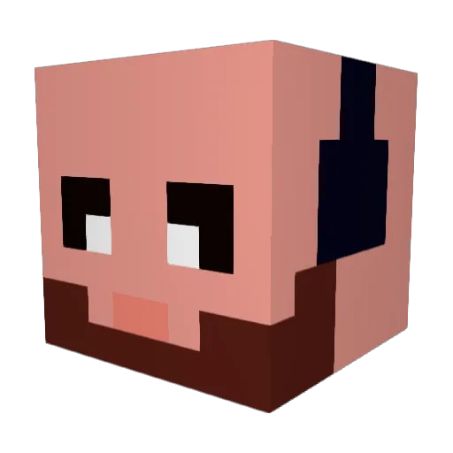 MrJanuary_ Minecraft avatar head, 3D render
