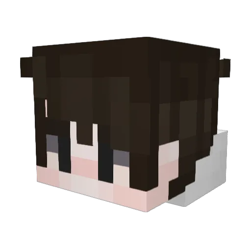 MrJhoonn Minecraft avatar head, 3D render