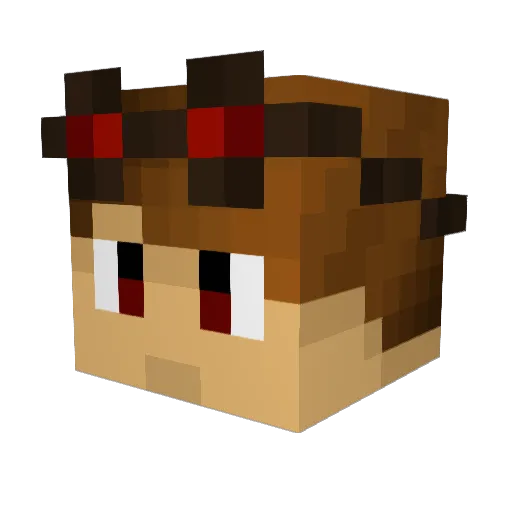 MrJimmyD2 Minecraft avatar head, 3D render