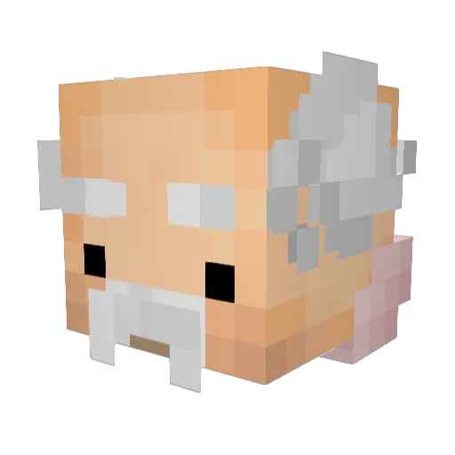 MrJohn191 Minecraft avatar head, 3D render